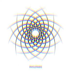Phyllotaxis
